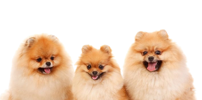 homepage-banner-img-removebg-preview